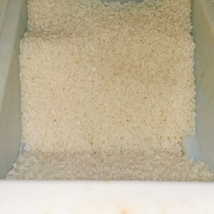 お米の保存方法